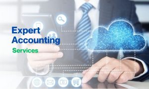 Digital Accounting Experts Supporting Small Businesses